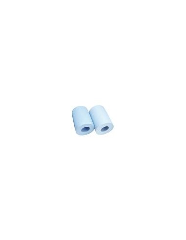 Kit de 2 cepillos Premium cortos - 9995560-ASSY