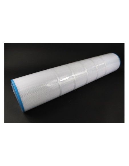 Cartuccia SuperPro SwimClear C5025