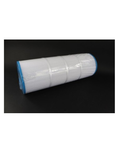 Cartuccia SuperPro SwimClear C3025-C3030