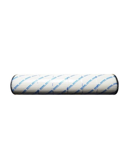 Filterpatron Hayward SwimClear C5025 / 5030