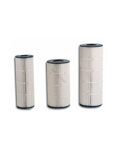Cartucho Hayward SwimClear C3025-C3030