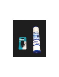 Cartucho SuperPro Remp Spa y HS Pure Start 2