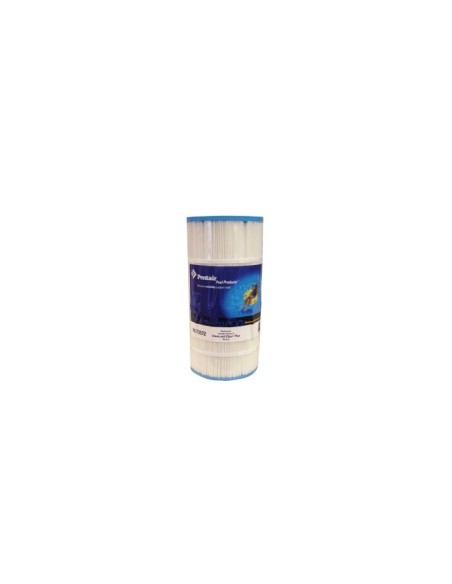 Cartuccia Pentair Posi/Clean and Clear Plus 240