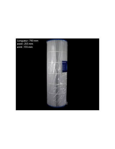 Cartuccia Pentair Posi/Clean and Clear 200