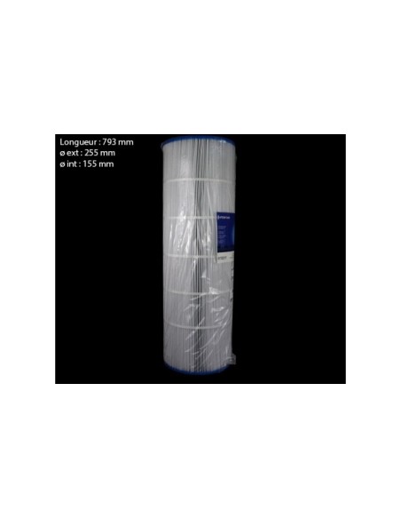 Cartouche Pentair Posi/Clean and Clear 200