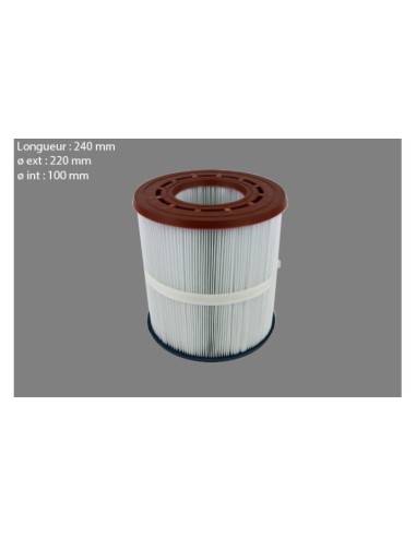 Pentair Cartridge Starite PTM35
