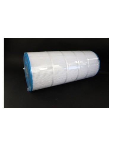 Cartouche SuperPro SwimClear C150SE