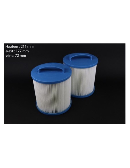 Cartouche Filtrinov pour FB12 - Lot de 2