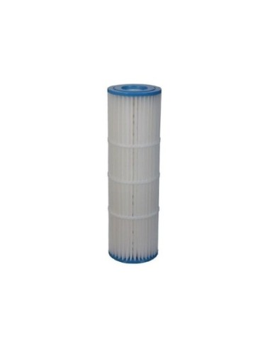 Cartuccia Pentair Posi/Clean and Clear Plus 520