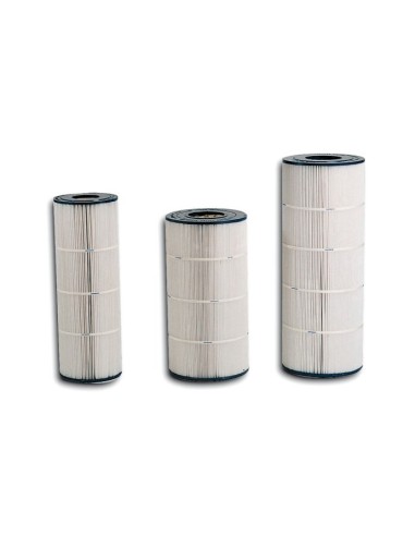 Cartuccia Hayward SwimClear C4025-C4030