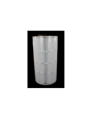 Cartuccia Hayward SwimClear C100SE