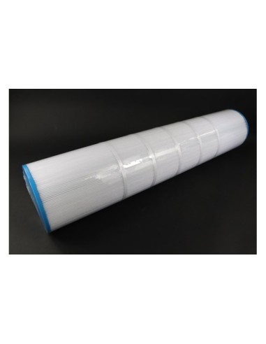 SuperPro Cartridge SwimClear C5025
