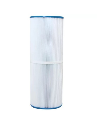 Cartuccia Pentair Freeflo FFCF100