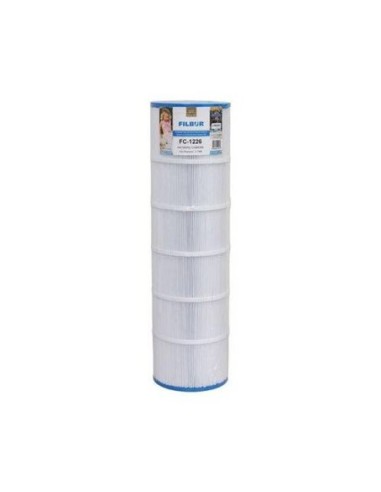 Cartuccia SuperPro SwimClear C4025-C4030