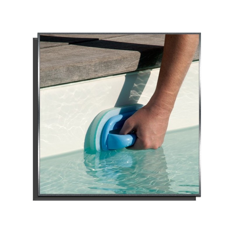 BAYROL Bürste für Wasserlinie - Geliefert mit 2 Ersatz-Pads