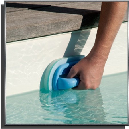 BAYROL Bürste für Wasserlinie - Geliefert mit 2 Ersatz-Pads