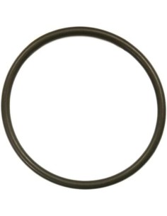 Hayward O-ring voor schijnwerperlamp PRX20007 – Ø 9,3 cm