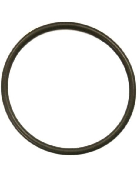 Hayward PRX20007 light bulb O-ring – Ø 9.3 cm