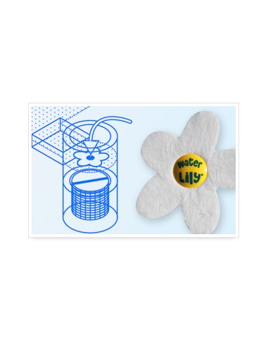 Water Lily - Absorbe huiles et crèmes solaires