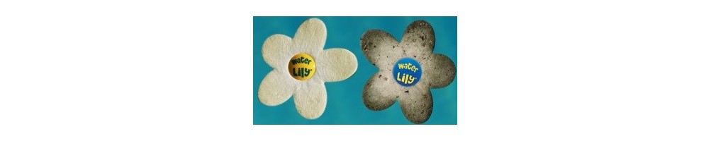 Water Lily: absorber olejków i kremów do opalania